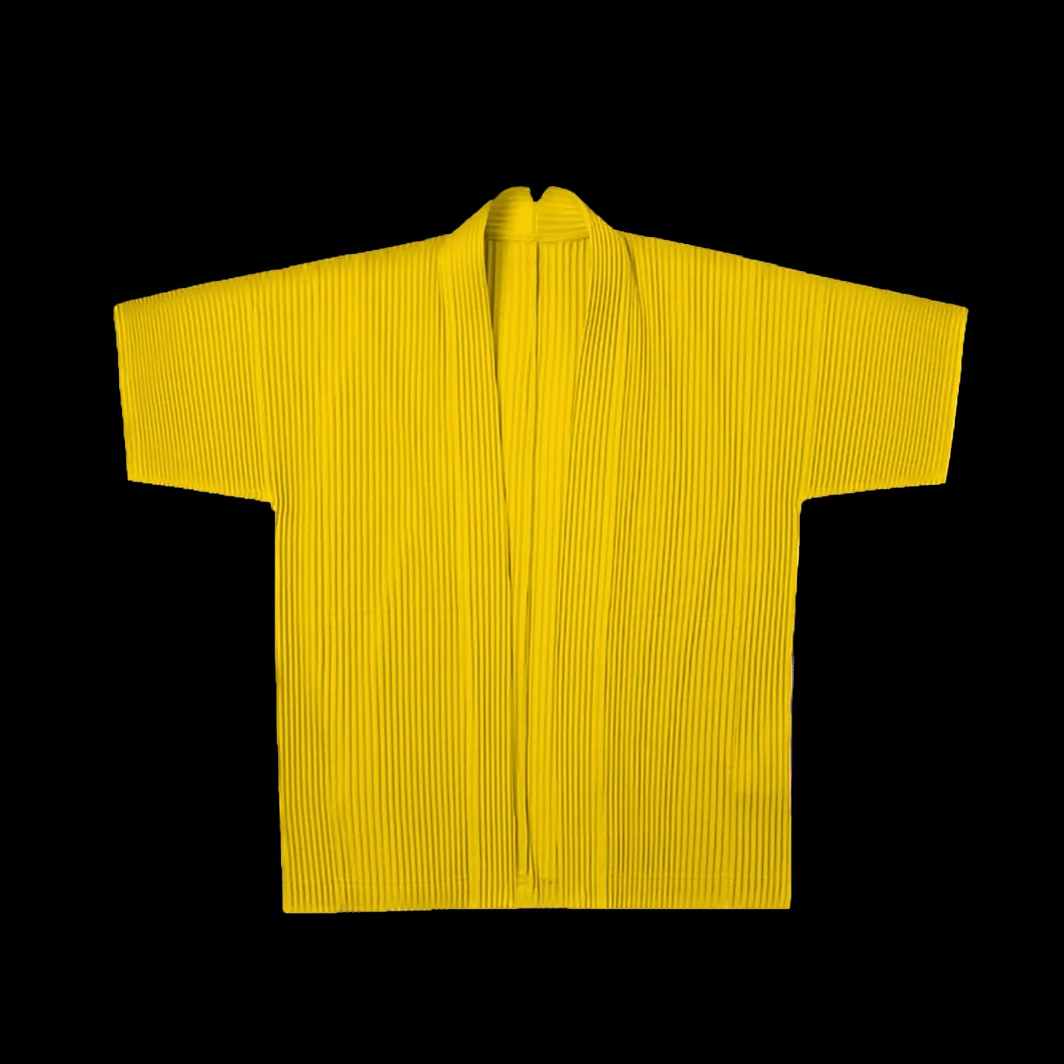 Issey Miyake Pleated Robe — T-Shirts from Taobao
